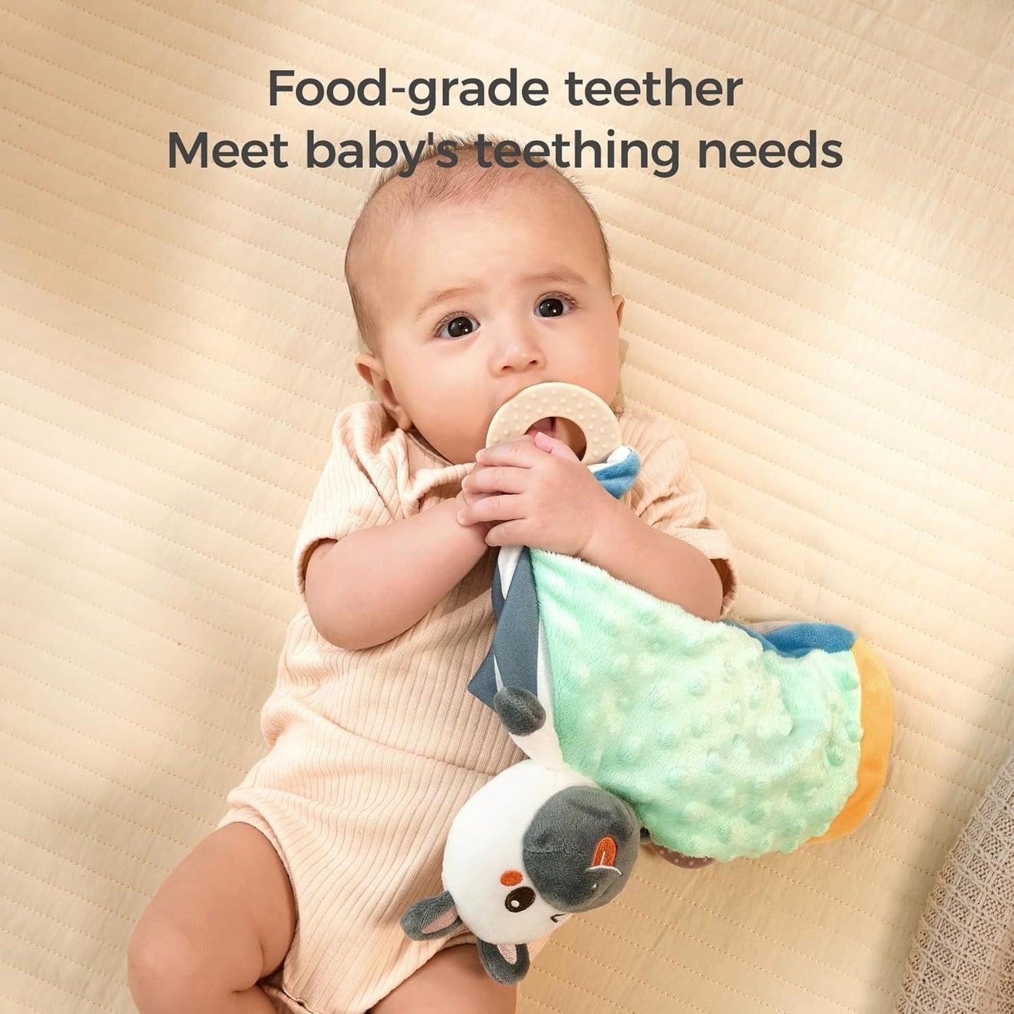 Soft Fleece Velvet Minky Dot Blanket TYMY0070