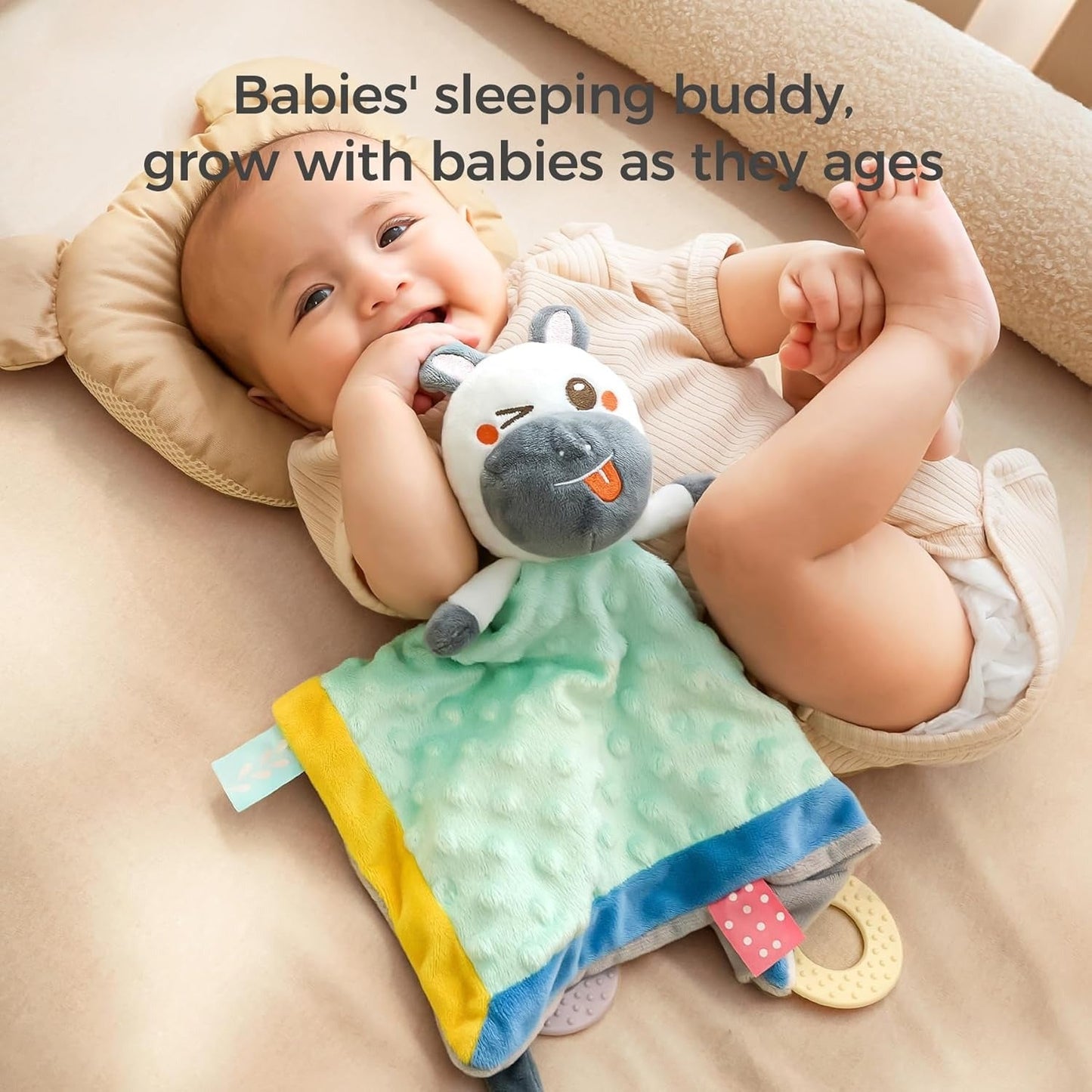 Soft Fleece Velvet Minky Dot Blanket TYMY0070